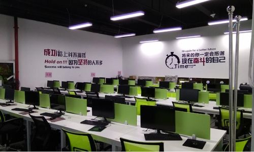 综合评价深圳乐客商学院与淘学培训的学科培训质量